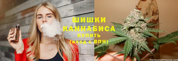 сатива Богородск