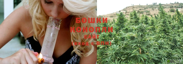 молекула духа Новозыбков